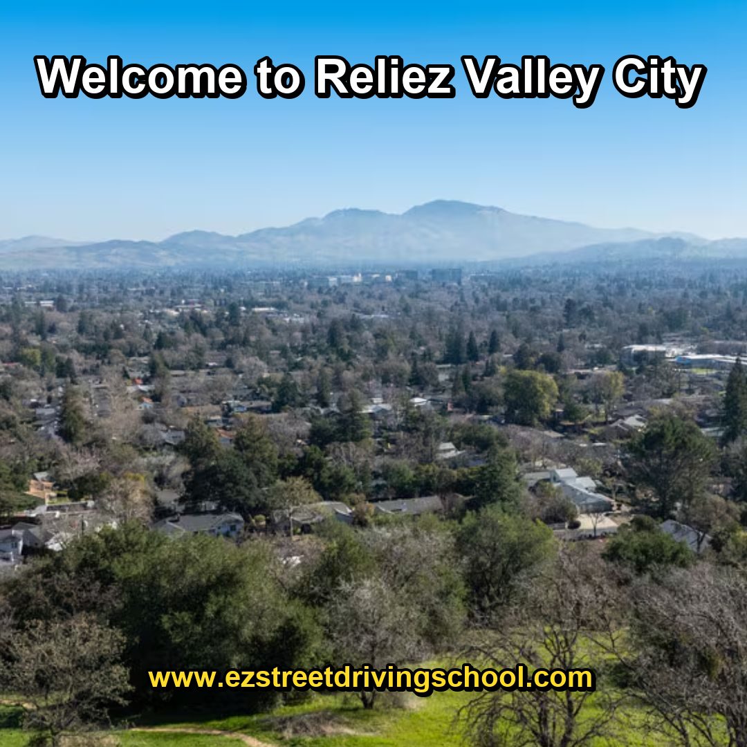 Driving Lessons in Reliez Valley